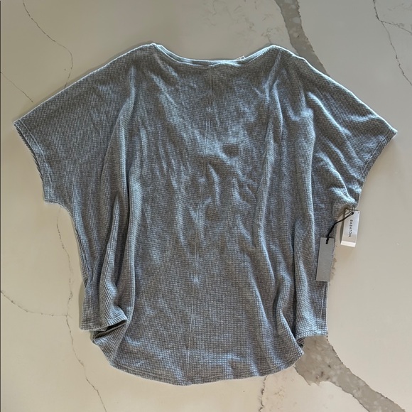 Aritzia Babaton Gray Berry V-Neck Women Top - Picture 2 of 4